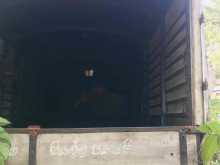 Isuzu 350Elf 1995 Lorry