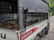 https://riyasewana.com/uploads/isuzu-elf-150-7141922656459.jpg