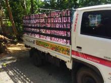 https://riyasewana.com/uploads/isuzu-elf-22251406116.jpg