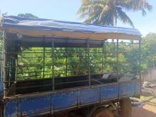 Isuzu ELF 1980 Lorry