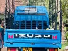 https://riyasewana.com/uploads/isuzu-elf-250-1980-1711555312372.jpg