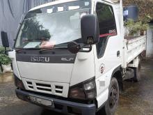 Isuzu ELF 2007 Lorry