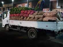 https://riyasewana.com/uploads/isuzu-elf-418443322413.jpg