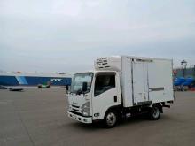 Isuzu ELF Freezer Truck 2021 Lorry