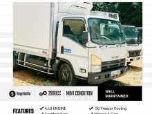 Isuzu Elf Freezer 2014 Lorry