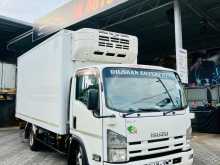 Isuzu ELF Freezer 2013 Lorry