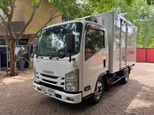 Isuzu ELF Freezer 2017 Lorry
