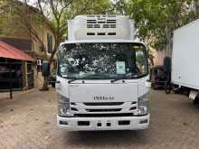 Isuzu ELF Freezer Truck 14.5 Feet 2019 Lorry