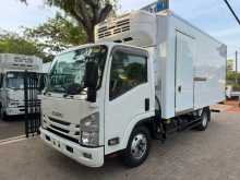 Isuzu ELF Freezer 2019 Lorry