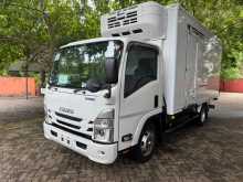 Isuzu ELF Freezer Truck 14.5 Feet New Face 2022 Lorry