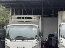 Isuzu Elf Freezer 2019 Heavy-Duty