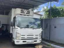 Isuzu Elf Freezer 2019 Lorry