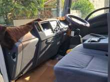 https://riyasewana.com/uploads/isuzu-elf-truck-5214317183.jpg