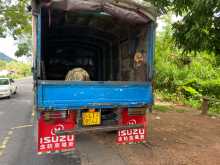 https://riyasewana.com/uploads/isuzu-elf350-1999-209365312414.jpg