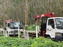 Isuzu Foward Boom 2000 Lorry
