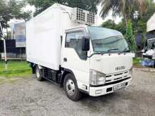 Isuzu Freezer 2011 Lorry