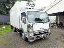 Isuzu Freezer 2014 Lorry