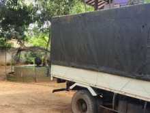 https://riyasewana.com/uploads/isuzu-isuzu-171821024203.jpg