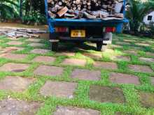 https://riyasewana.com/uploads/isuzu-isuzu-250-41555544142.jpg