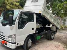 Isuzu Tipper 2019 Lorry