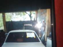 https://riyasewana.com/uploads/isuzu-jemini-1985-1020544912252.jpg