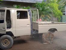 https://riyasewana.com/uploads/isuzu-kad-51-72131406486.jpg