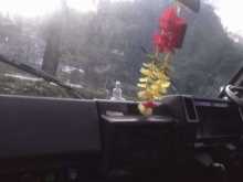 https://riyasewana.com/uploads/isuzu-lorry-171915524683.jpg