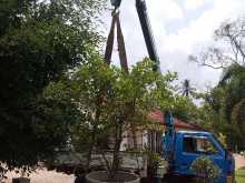 https://riyasewana.com/uploads/isuzu-nke1987-32314434232.jpg
