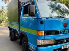 Isuzu NKR 1999 Lorry