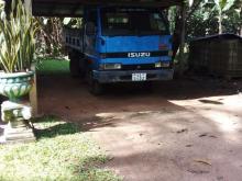 https://riyasewana.com/uploads/isuzu-tipper-11144256825.jpg