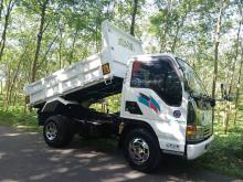 Isuzu Tipper 1999 Lorry