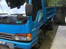 https://riyasewana.com/uploads/isuzu-tipper-1815424522423.jpg