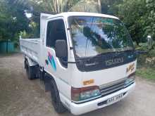 Isuzu Tipper 1981 Lorry