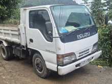 Isuzu Tipper 1996 Lorry