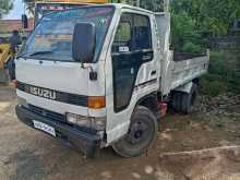 https://riyasewana.com/uploads/isuzu-tipper-27938244393.jpg