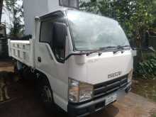 Isuzu Tipper 2007 Lorry