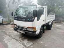 Isuzu Tipper 2002 Lorry