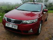 Kia Cerato 2011 Car