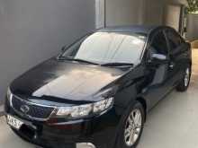 Kia Cerato 2011 Car