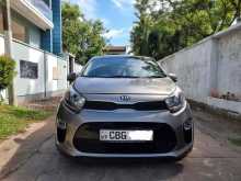 Kia Picanto 2019 Car