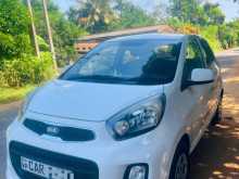 Kia Picanto 2016 Car