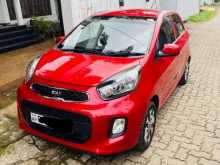 Kia Picanto 2016 Car