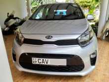 Kia Picanto 2017 Car