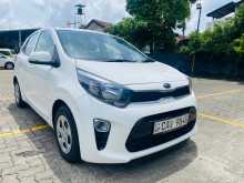 Kia Picanto 2017 Car