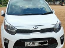 Kia Picanto 2017 Car