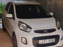 Kia Picanto 2016 Car