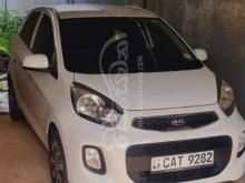 Kia Picanto 2016 Car