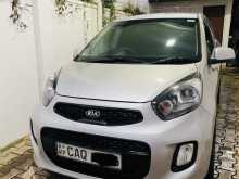 Kia Picanto 2016 Car