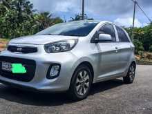 Kia Picanto 2016 Car