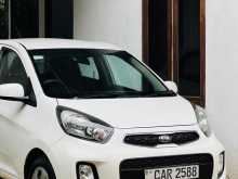 Kia Picanto 2016 Car